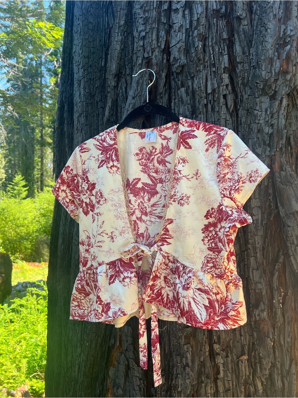 Dippin' Daisy's Cream and Red Floral Tie-Front Blouse